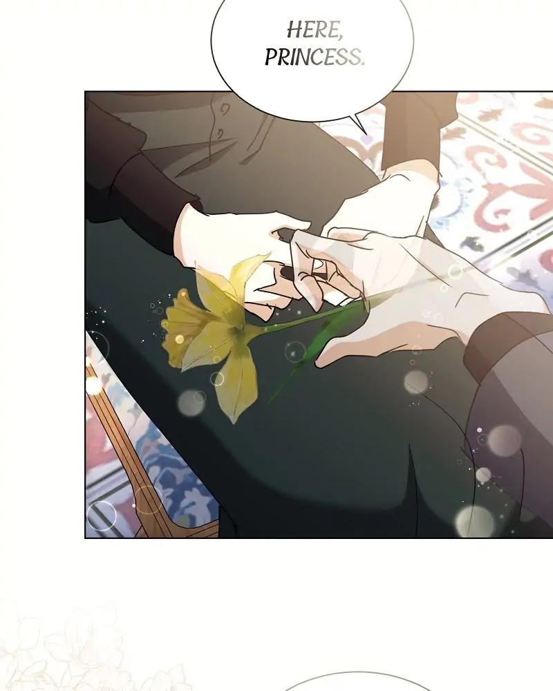 34044040 800 1000 28586