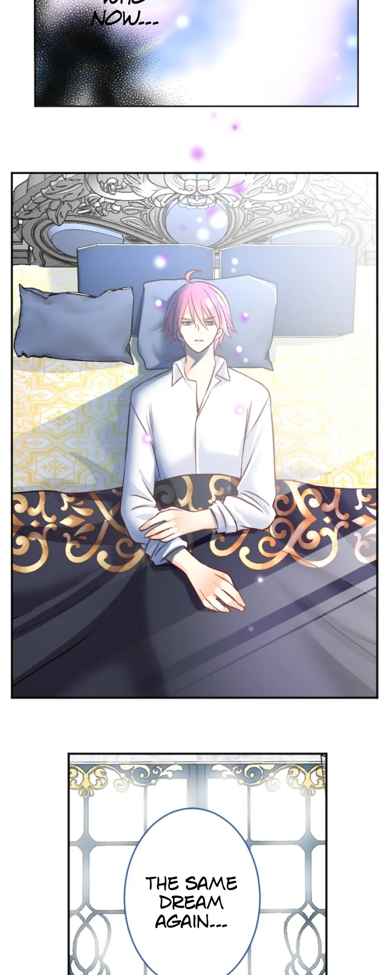 47428456 800 2000 99556